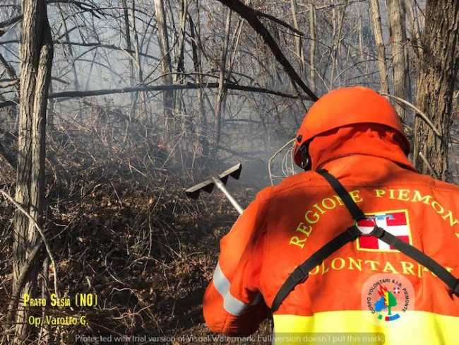 163996425 1275126779547847 2533523933184993611 o