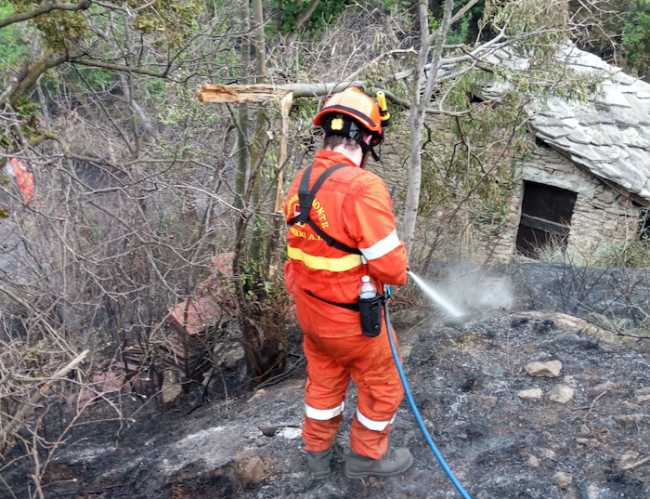 293648636 1597652783961910 432550207107886630 n