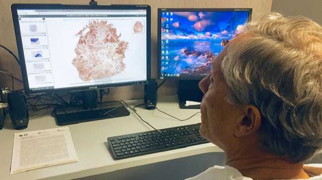 Digital Pathology immagine hi res