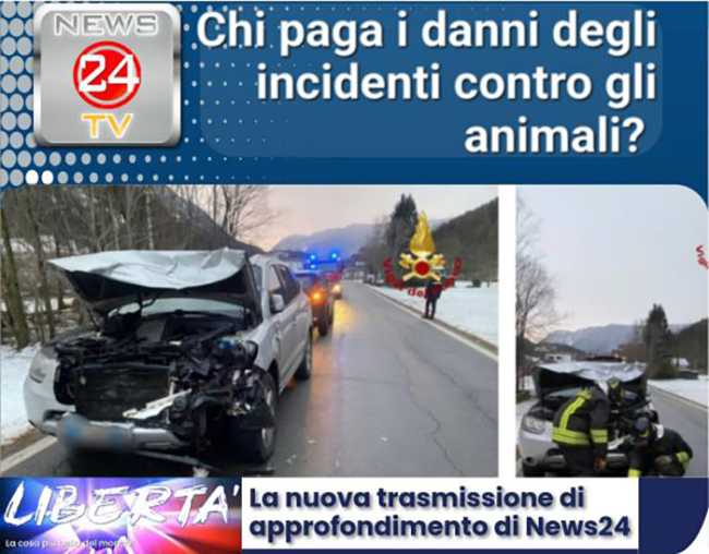 PHOTO 2025 11 05 16 22 40