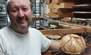 PIANTANIDA LUCA NUOVA