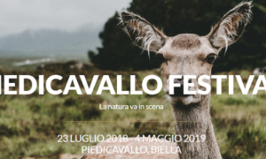 Piedicavallo Festival