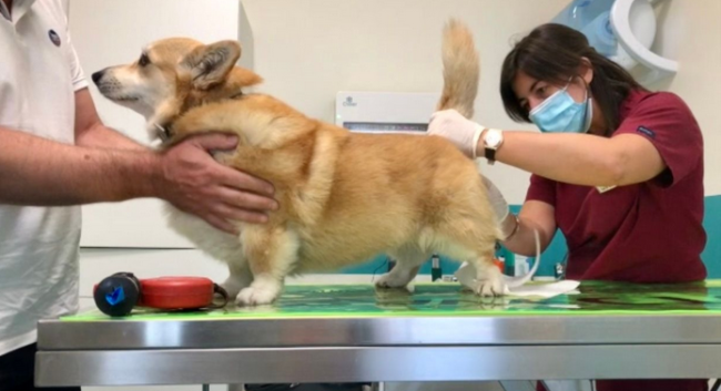 Schermata 2020 12 27 alle 10.59.07