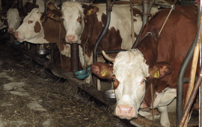 Schermata 2021 02 09 alle 11.58.36