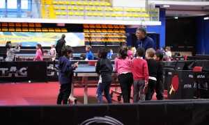 biella tennis tavolo a