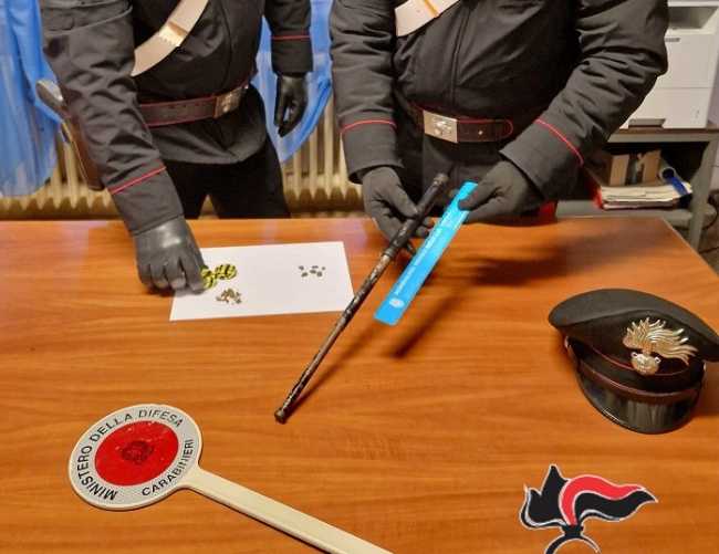 carabinieri droga e bastone