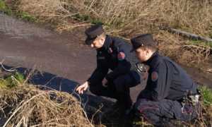 carabinieri forestali pray a