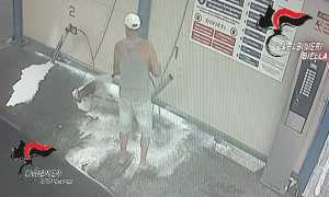 carabinieri lava cane autolavaggio