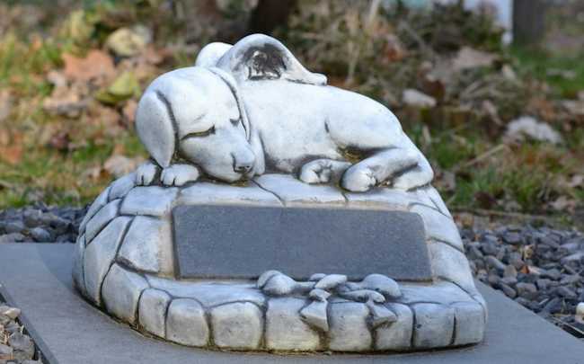 csaba gyulavari ZZ hQP92Vbc unsplash