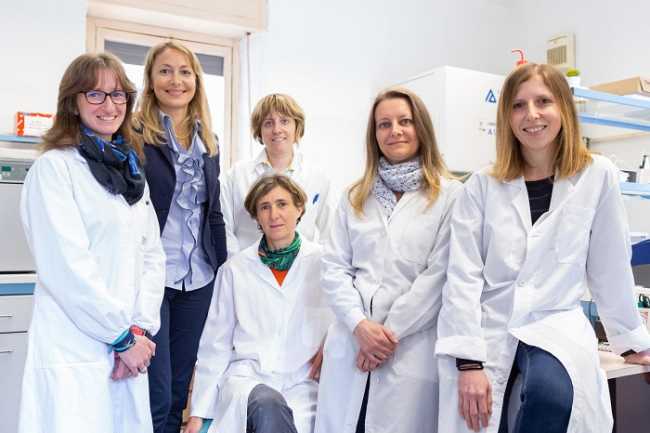 fondo tempia ricerca tumore al seno