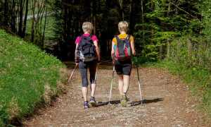 nordic walking