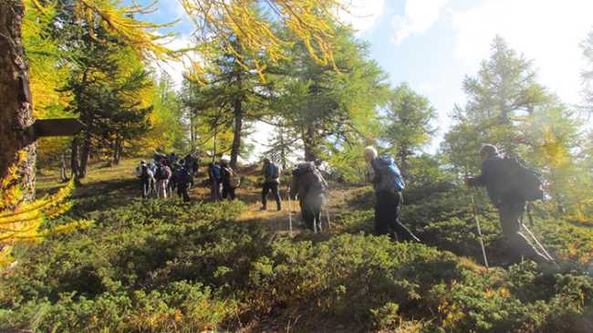 trotapian 33 Gita 4O24 Malchkritzji