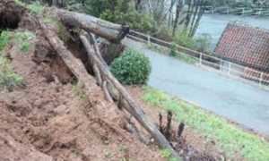 valdilana frana squisso