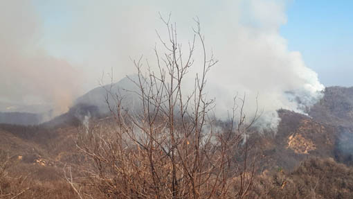 incendio conapo