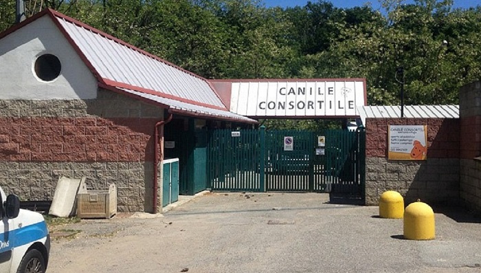 Restyling per il canile di Cossato che diventa il “Rifugio di Pluto”