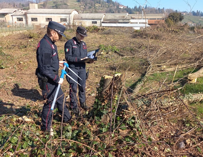Tagliano un bosco a Biella Chiavazza: sanzione di oltre 3000 euro