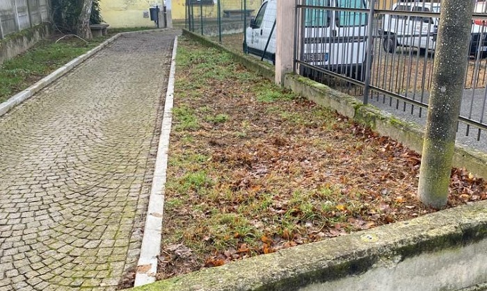 Cavaglià: "Basta deiezioni canine in giro per il paese"