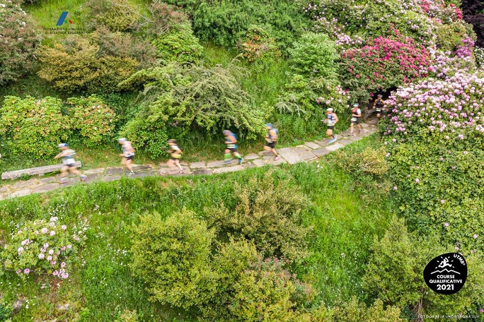 Tornano le fioriture della Conca dei rododendri all'Oasi Zegna