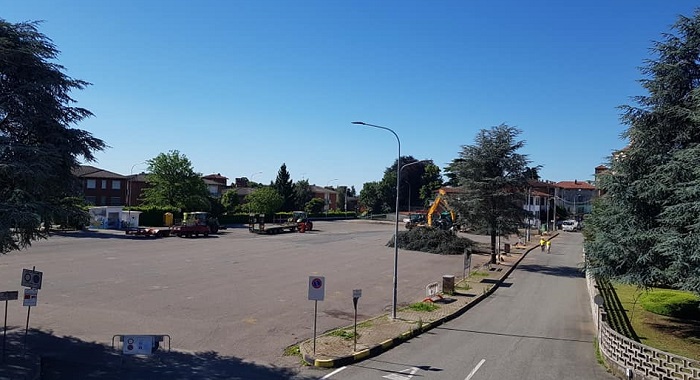 Legambiente Biella contesta il taglio degli alberi a Cavaglià