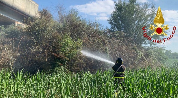 Incendio sterpaglie a pochi metri dall'autostrada