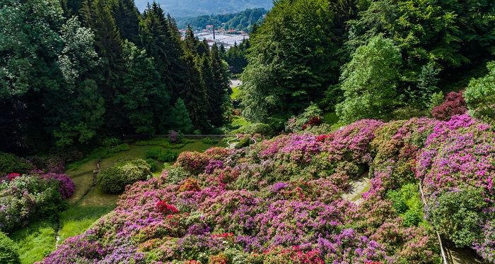Oasi Zegna in fiore e aperta alle visite 