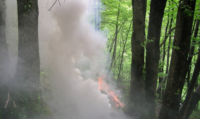 Vasto incendio in Valsessera, sul posto i Canadair