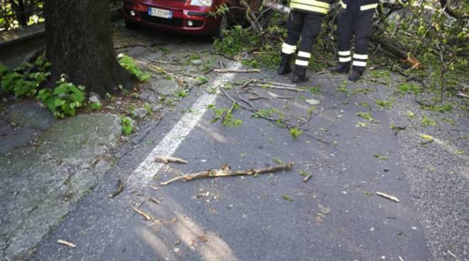 Albero si abbatte sul parabrezza, automobilista miracolato